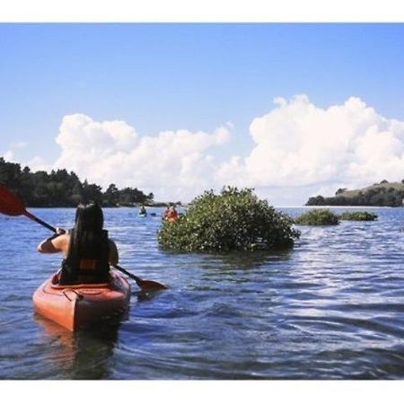 Yha Opoutere Hostel Luaran gambar